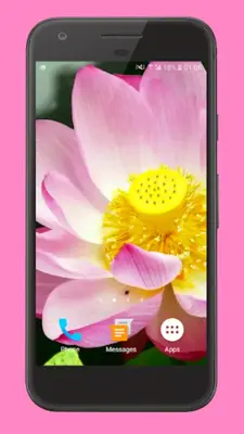 Blooming Lotus Video Wallpaper android App screenshot 1